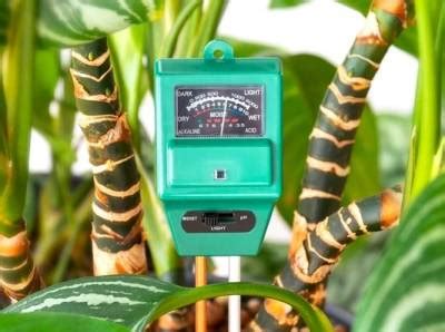 VOCHTMETER PLANTEN: deze 13 zijn goed én goedkoop